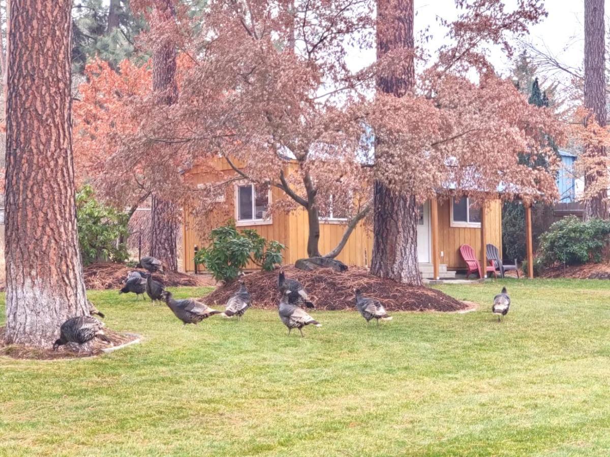 The Base Camp Villa Spokane Luaran gambar